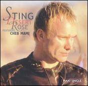 Sting : Desert Rose